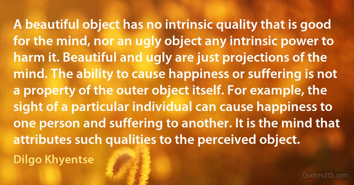 A beautiful object has no intrinsic quality that is good for the mind, nor an ugly object any intrinsic power to harm it. Beautiful and ugly are just projections of the mind. The ability to cause happiness or suffering is not a property of the outer object itself. For example, the sight of a particular individual can cause happiness to one person and suffering to another. It is the mind that attributes such qualities to the perceived object. (Dilgo Khyentse)