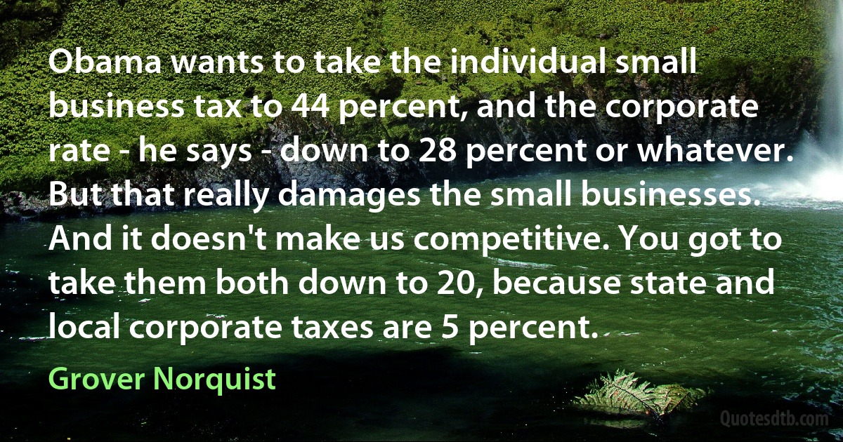 Obama wants to take the individual small business tax to 44 percent, and the corporate rate - he says - down to 28 percent or whatever. But that really damages the small businesses. And it doesn't make us competitive. You got to take them both down to 20, because state and local corporate taxes are 5 percent. (Grover Norquist)