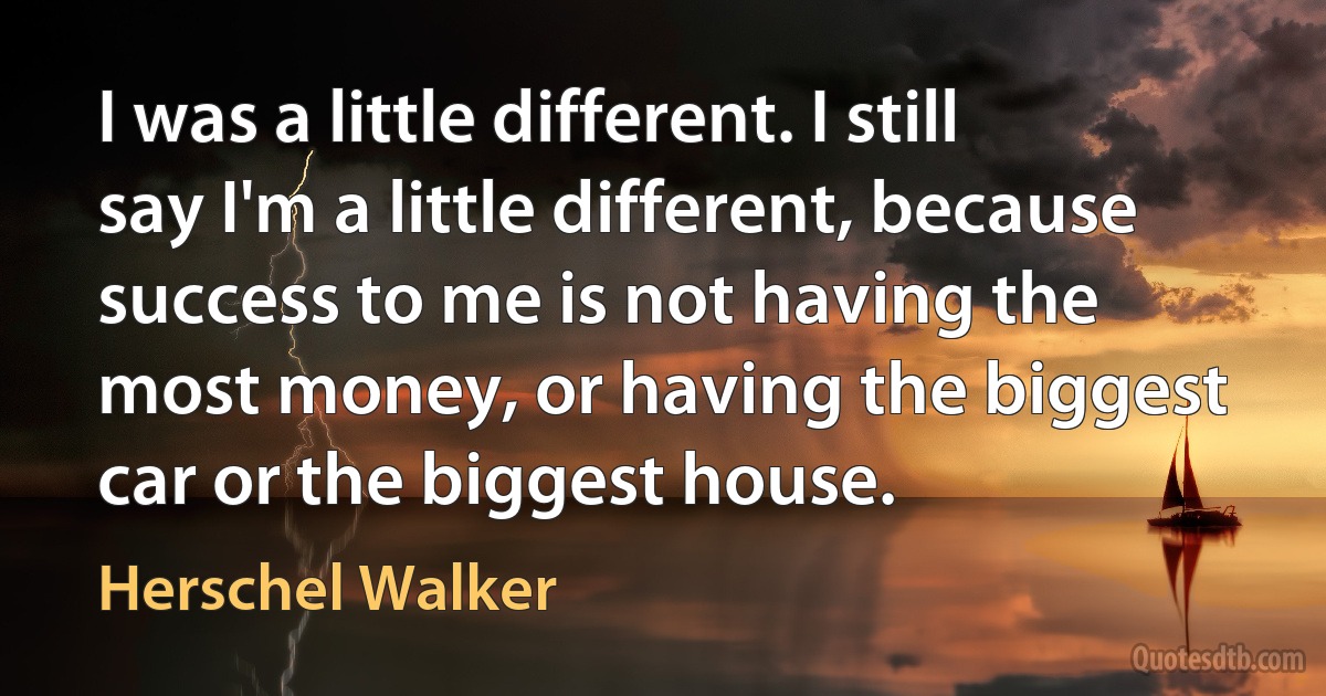 I was a little different. I still say I'm a little different, because success to me is not having the most money, or having the biggest car or the biggest house. (Herschel Walker)