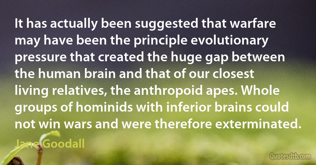 It has actually been suggested that warfare may have been the principle evolutionary pressure that created the huge gap between the human brain and that of our closest living relatives, the anthropoid apes. Whole groups of hominids with inferior brains could not win wars and were therefore exterminated. (Jane Goodall)