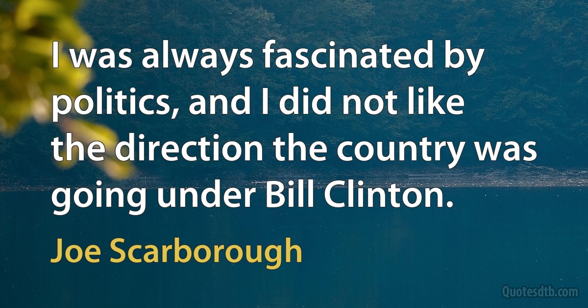 I was always fascinated by politics, and I did not like the direction the country was going under Bill Clinton. (Joe Scarborough)