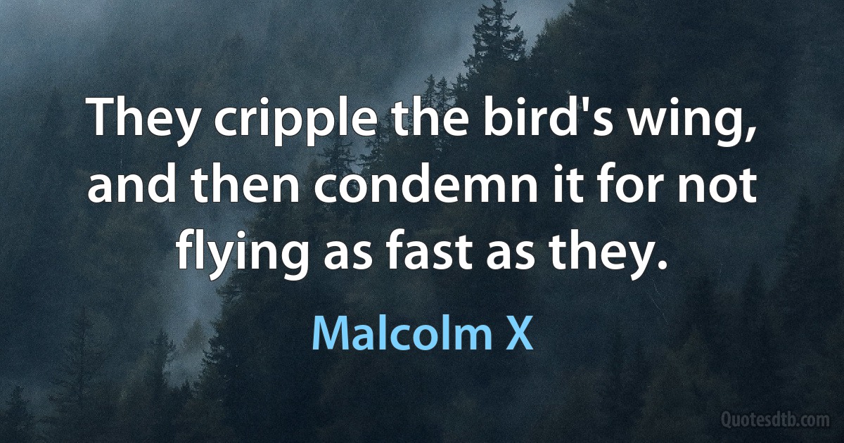 They cripple the bird's wing, and then condemn it for not flying as fast as they. (Malcolm X)