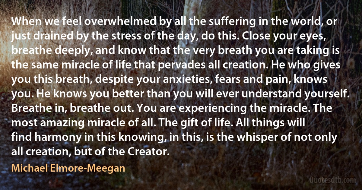 When we feel overwhelmed by all the suffering in the world, or just drained by the stress of the day, do this. Close your eyes, breathe deeply, and know that the very breath you are taking is the same miracle of life that pervades all creation. He who gives you this breath, despite your anxieties, fears and pain, knows you. He knows you better than you will ever understand yourself. Breathe in, breathe out. You are experiencing the miracle. The most amazing miracle of all. The gift of life. All things will find harmony in this knowing, in this, is the whisper of not only all creation, but of the Creator. (Michael Elmore-Meegan)