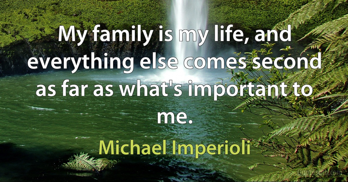 My family is my life, and everything else comes second as far as what's important to me. (Michael Imperioli)