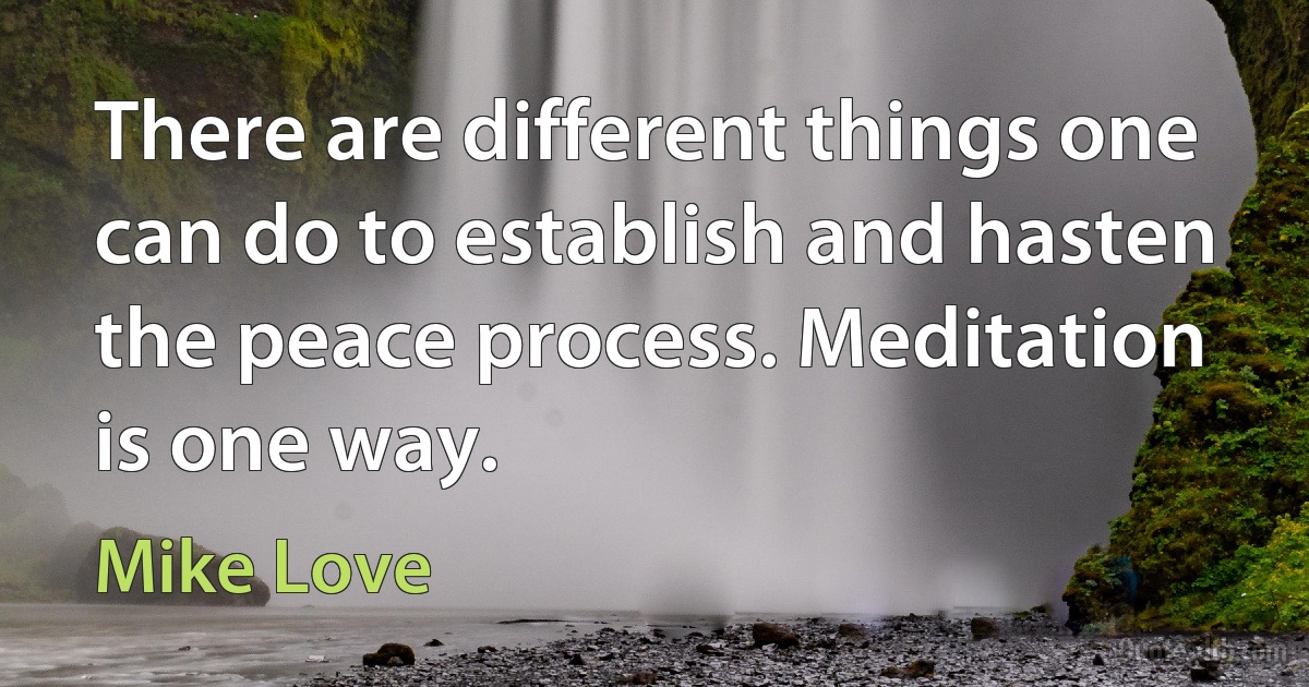 There are different things one can do to establish and hasten the peace process. Meditation is one way. (Mike Love)