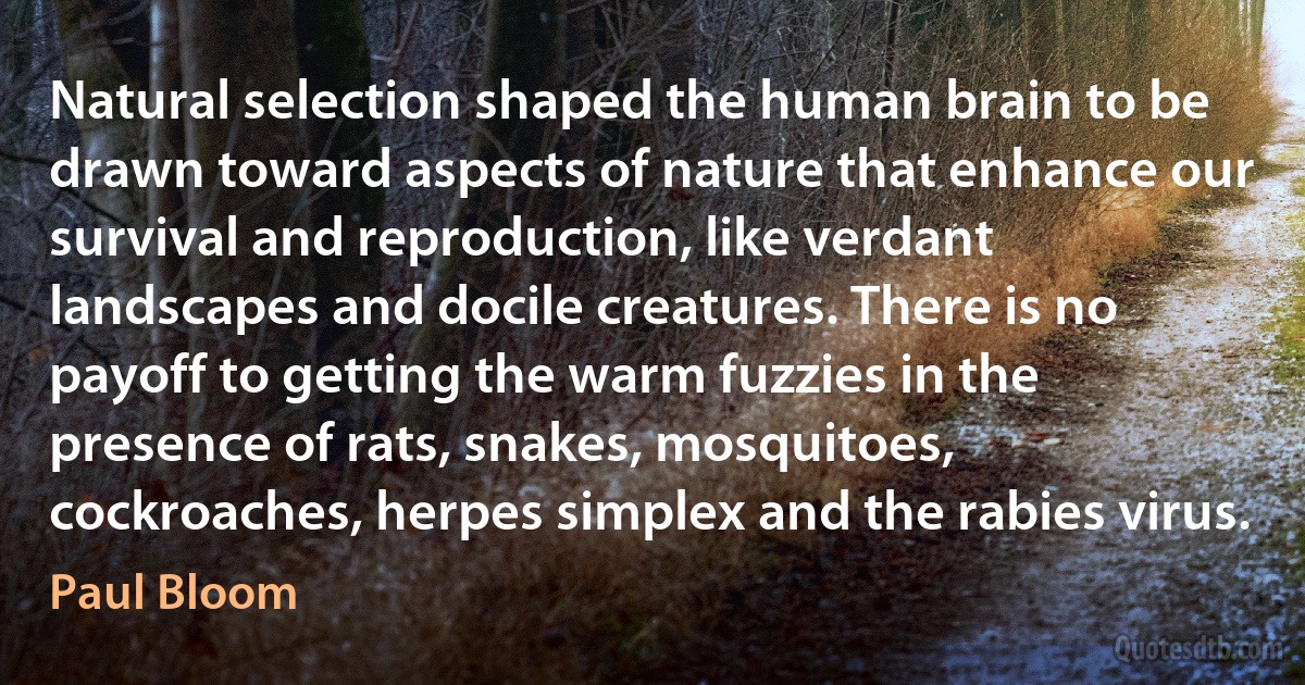 Natural selection shaped the human brain to be drawn toward aspects of nature that enhance our survival and reproduction, like verdant landscapes and docile creatures. There is no payoff to getting the warm fuzzies in the presence of rats, snakes, mosquitoes, cockroaches, herpes simplex and the rabies virus. (Paul Bloom)