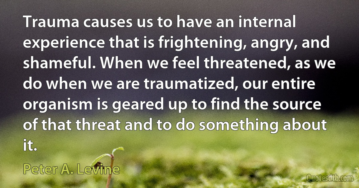 Trauma causes us to have an internal experience that is frightening, angry, and shameful. When we feel threatened, as we do when we are traumatized, our entire organism is geared up to find the source of that threat and to do something about it. (Peter A. Levine)