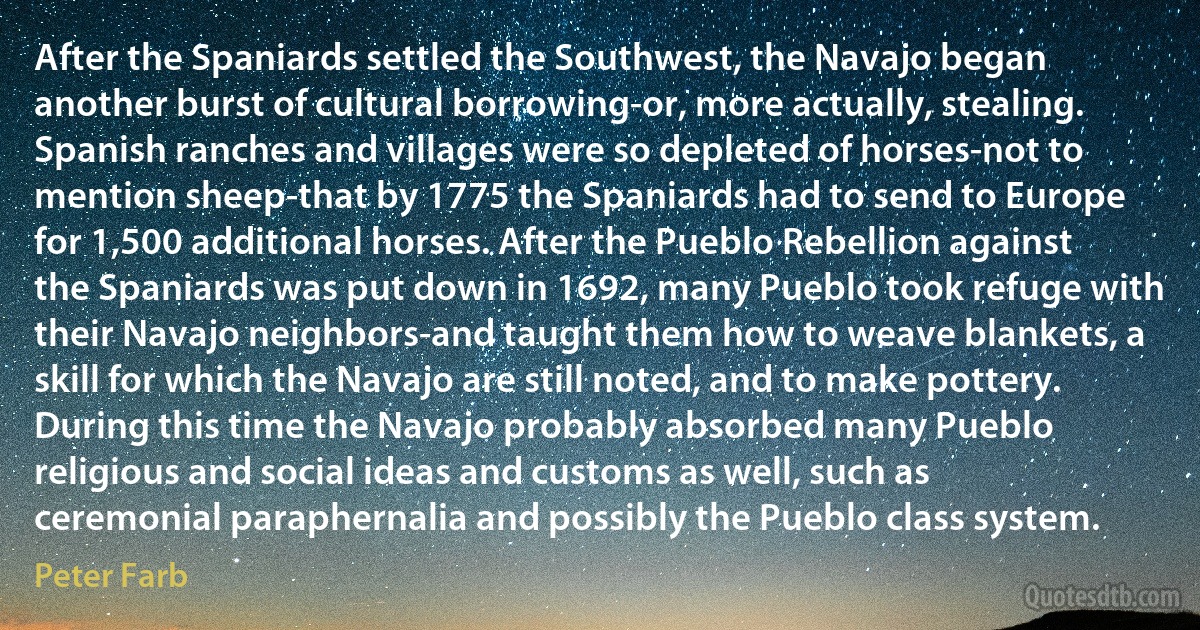 After the Spaniards settled the Southwest, the Navajo began another burst of cultural borrowing-or, more actually, stealing. Spanish ranches and villages were so depleted of horses-not to mention sheep-that by 1775 the Spaniards had to send to Europe for 1,500 additional horses. After the Pueblo Rebellion against the Spaniards was put down in 1692, many Pueblo took refuge with their Navajo neighbors-and taught them how to weave blankets, a skill for which the Navajo are still noted, and to make pottery. During this time the Navajo probably absorbed many Pueblo religious and social ideas and customs as well, such as ceremonial paraphernalia and possibly the Pueblo class system. (Peter Farb)