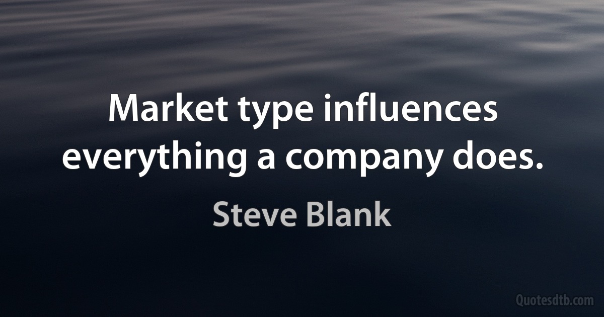 Market type influences everything a company does. (Steve Blank)