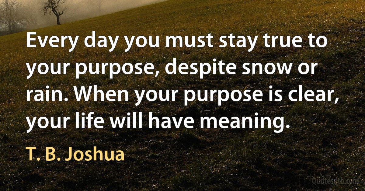 Every day you must stay true to your purpose, despite snow or rain. When your purpose is clear, your life will have meaning. (T. B. Joshua)