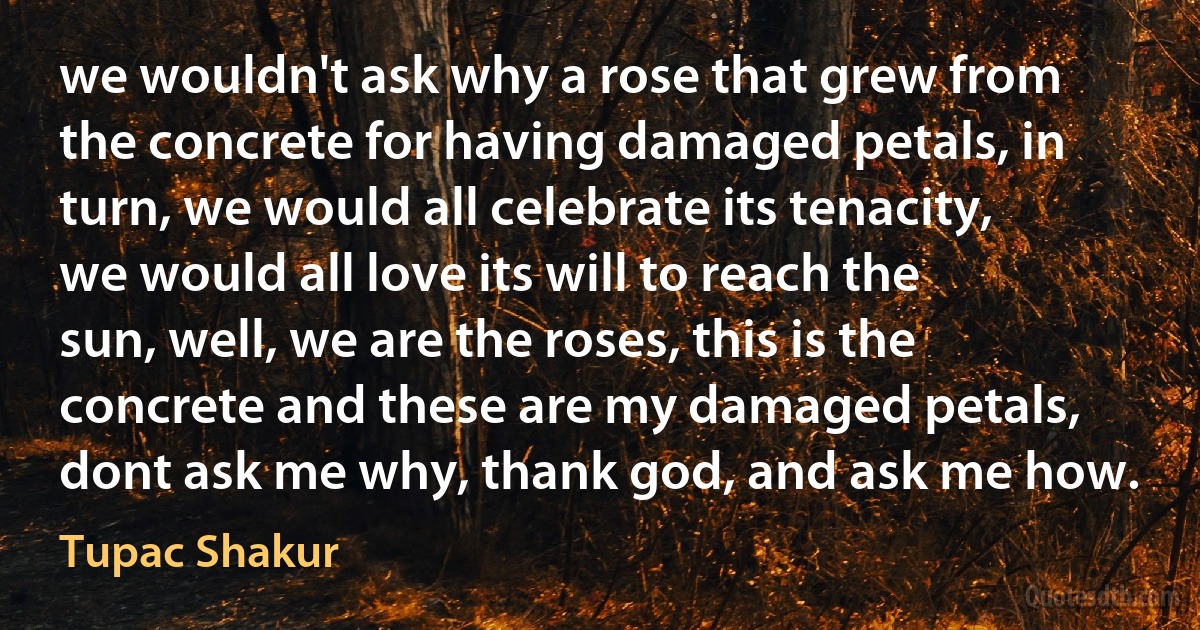 we wouldn't ask why a rose that grew from the concrete for having damaged petals, in turn, we would all celebrate its tenacity, we would all love its will to reach the sun, well, we are the roses, this is the concrete and these are my damaged petals, dont ask me why, thank god, and ask me how. (Tupac Shakur)