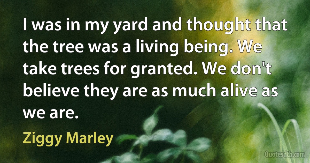 I was in my yard and thought that the tree was a living being. We take trees for granted. We don't believe they are as much alive as we are. (Ziggy Marley)