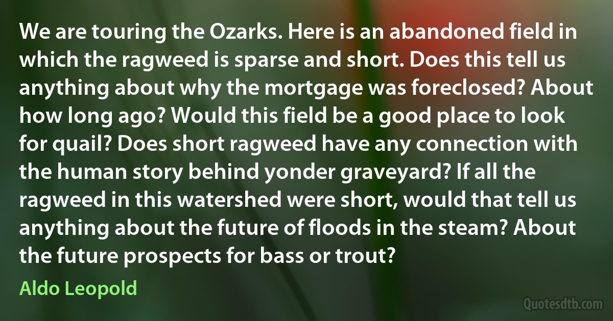 We are touring the Ozarks. Here is an abandoned field in which the ragweed is sparse and short. Does this tell us anything about why the mortgage was foreclosed? About how long ago? Would this field be a good place to look for quail? Does short ragweed have any connection with the human story behind yonder graveyard? If all the ragweed in this watershed were short, would that tell us anything about the future of floods in the steam? About the future prospects for bass or trout? (Aldo Leopold)