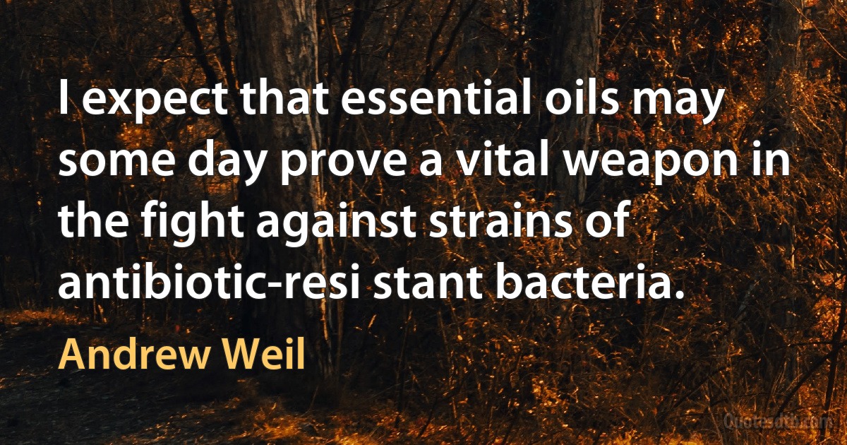 I expect that essential oils may some day prove a vital weapon in the fight against strains of antibiotic-resi stant bacteria. (Andrew Weil)