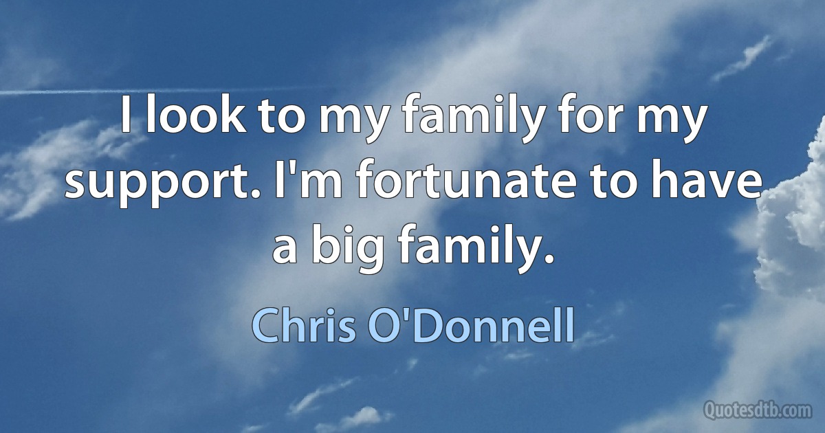 I look to my family for my support. I'm fortunate to have a big family. (Chris O'Donnell)