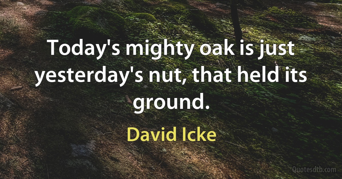 Today's mighty oak is just yesterday's nut, that held its ground. (David Icke)