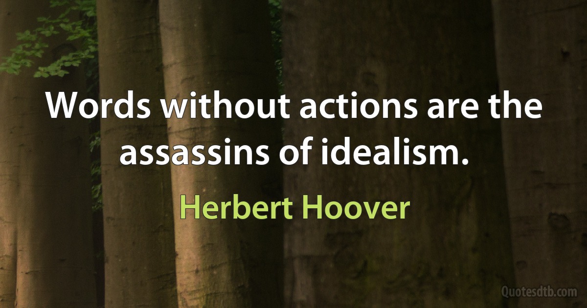 Words without actions are the assassins of idealism. (Herbert Hoover)