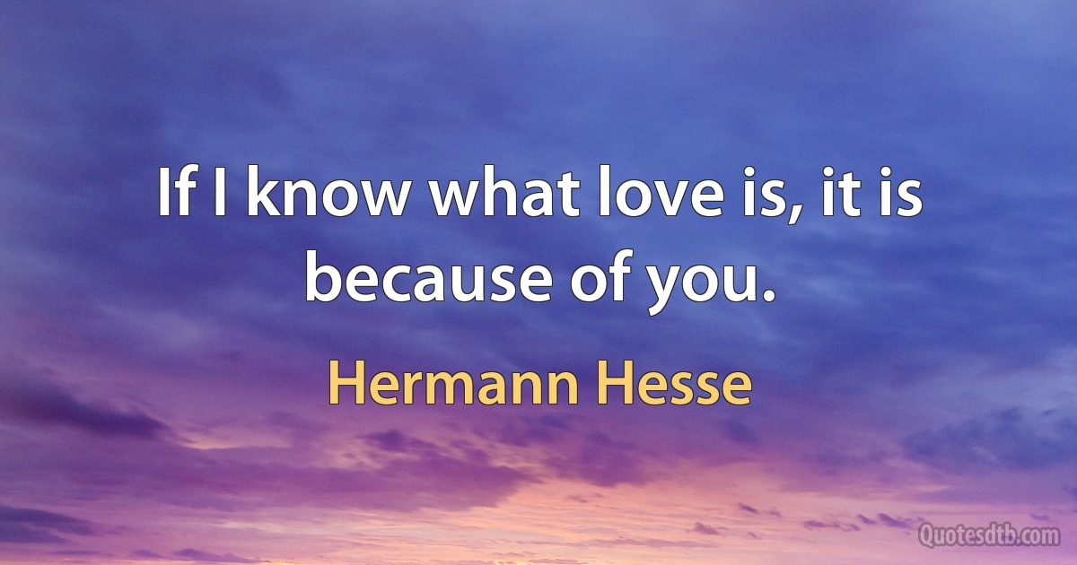 If I know what love is, it is because of you. (Hermann Hesse)