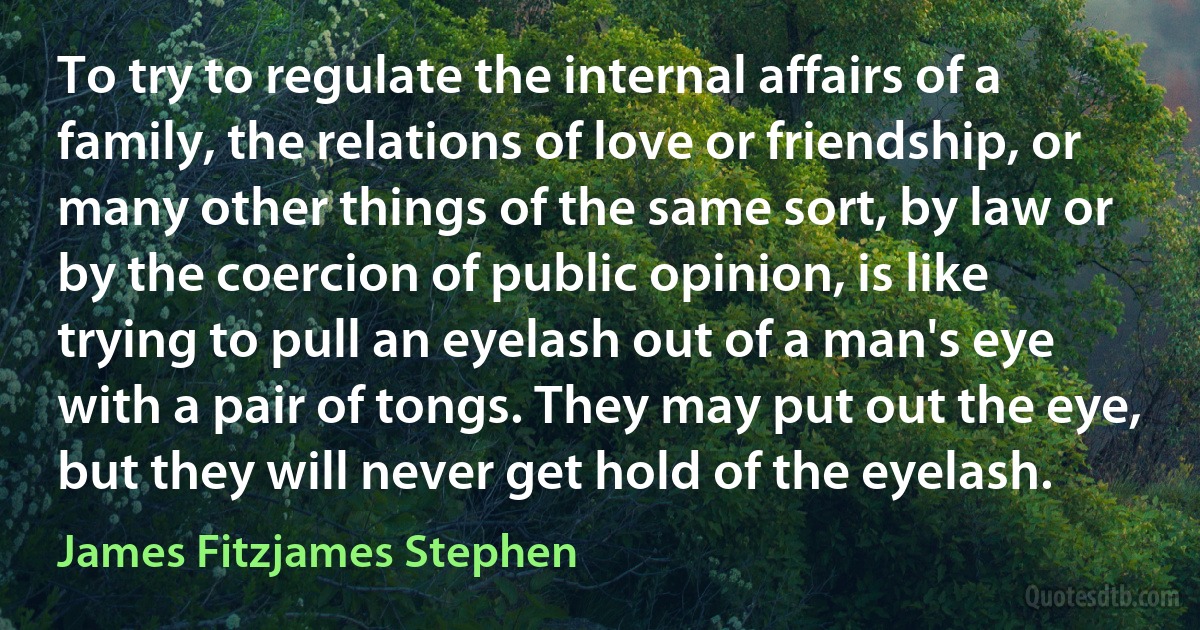 To try to regulate the internal affairs of a family, the relations of love or friendship, or many other things of the same sort, by law or by the coercion of public opinion, is like trying to pull an eyelash out of a man's eye with a pair of tongs. They may put out the eye, but they will never get hold of the eyelash. (James Fitzjames Stephen)