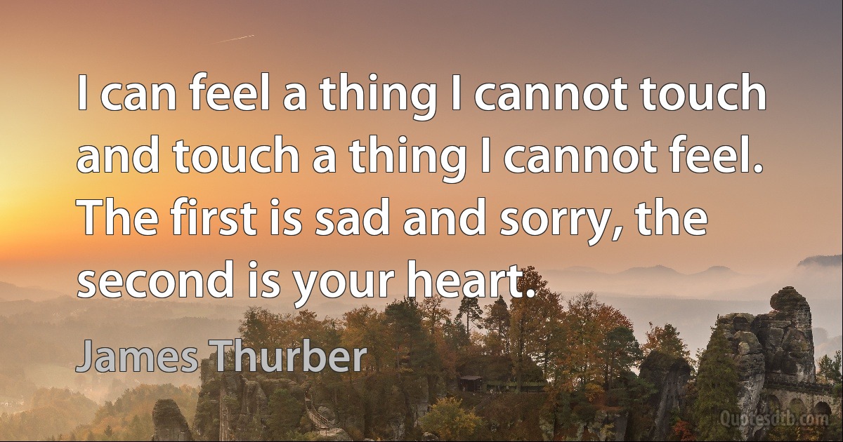 I can feel a thing I cannot touch and touch a thing I cannot feel. The first is sad and sorry, the second is your heart. (James Thurber)