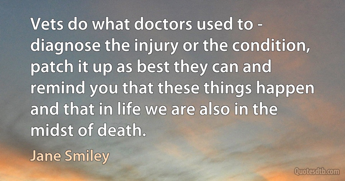 Vets do what doctors used to - diagnose the injury or the condition, patch it up as best they can and remind you that these things happen and that in life we are also in the midst of death. (Jane Smiley)