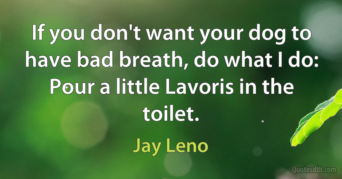 If you don't want your dog to have bad breath, do what I do: Pour a little Lavoris in the toilet. (Jay Leno)