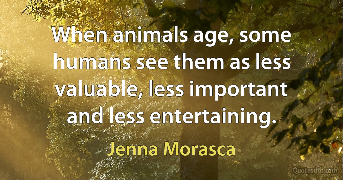 When animals age, some humans see them as less valuable, less important and less entertaining. (Jenna Morasca)