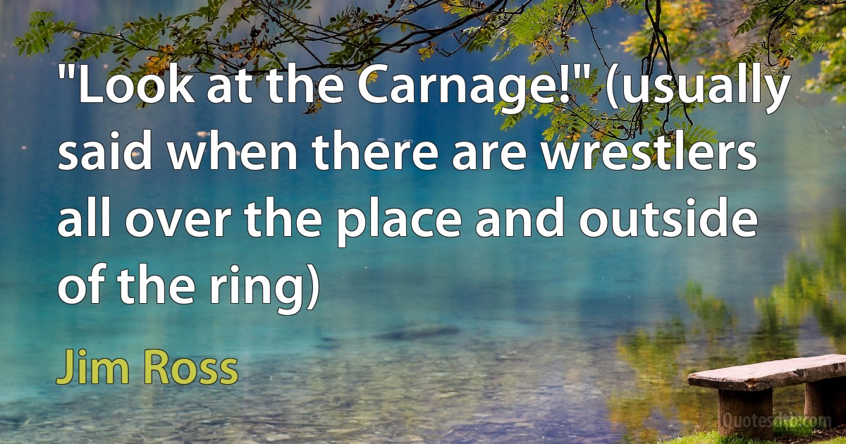 "Look at the Carnage!" (usually said when there are wrestlers all over the place and outside of the ring) (Jim Ross)