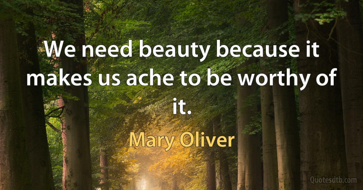 We need beauty because it makes us ache to be worthy of it. (Mary Oliver)