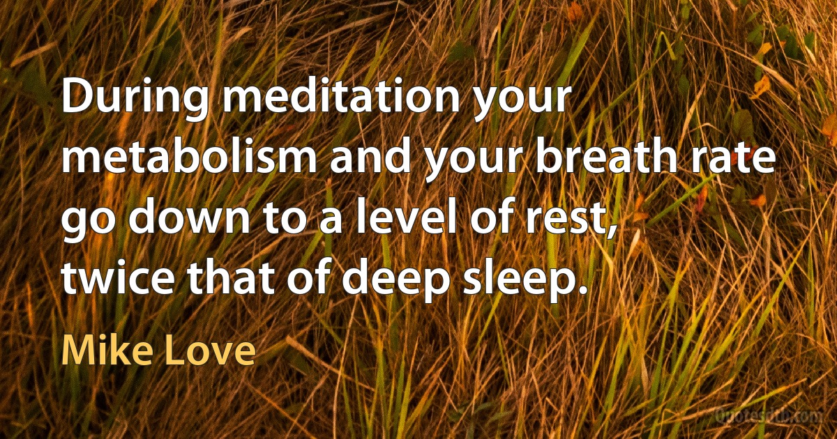 During meditation your metabolism and your breath rate go down to a level of rest, twice that of deep sleep. (Mike Love)