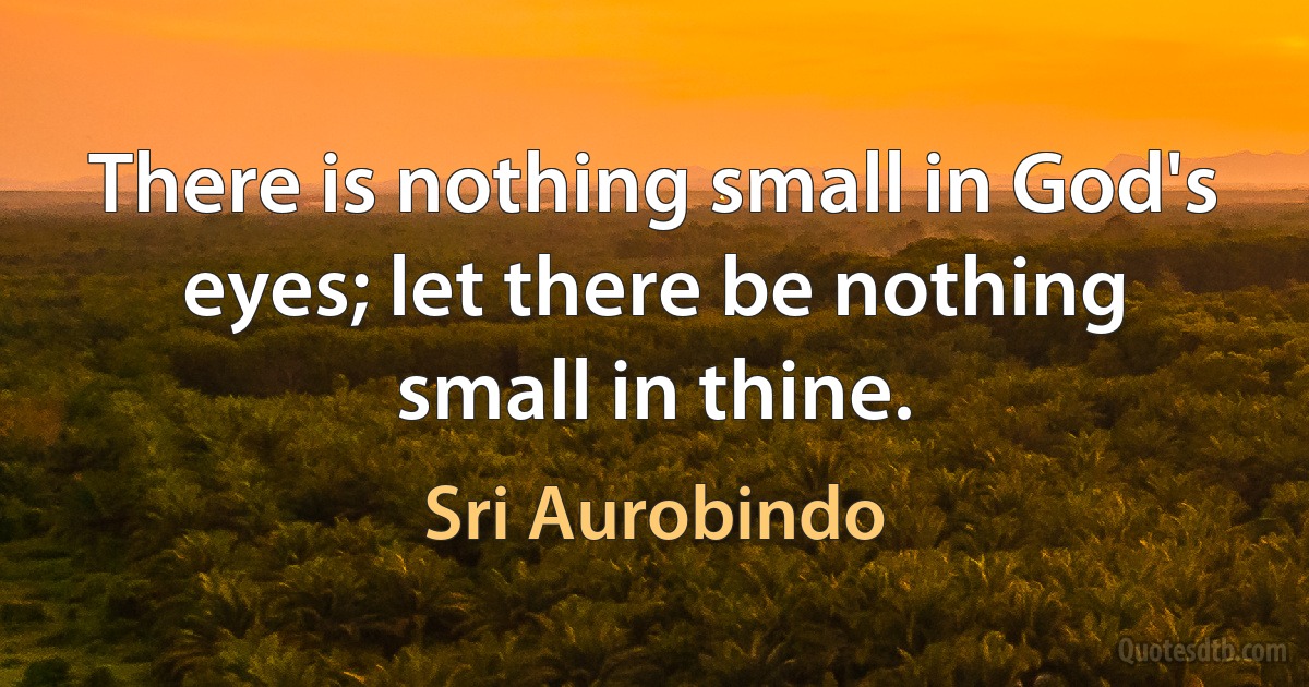 There is nothing small in God's eyes; let there be nothing small in thine. (Sri Aurobindo)