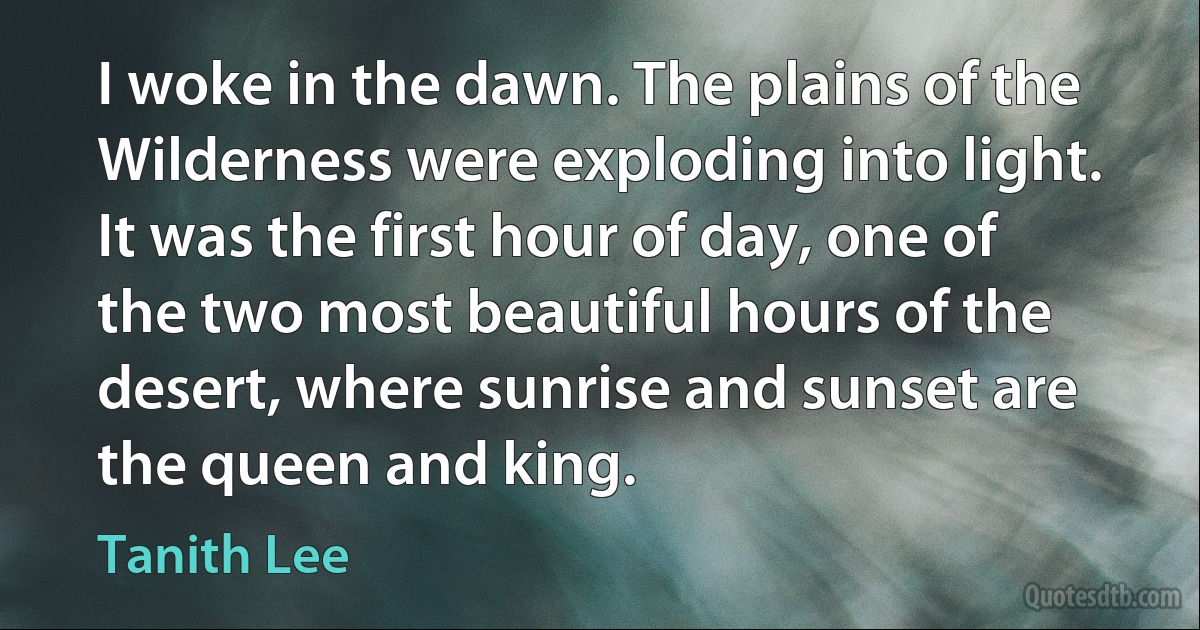 I woke in the dawn. The plains of the Wilderness were exploding into light. It was the first hour of day, one of the two most beautiful hours of the desert, where sunrise and sunset are the queen and king. (Tanith Lee)