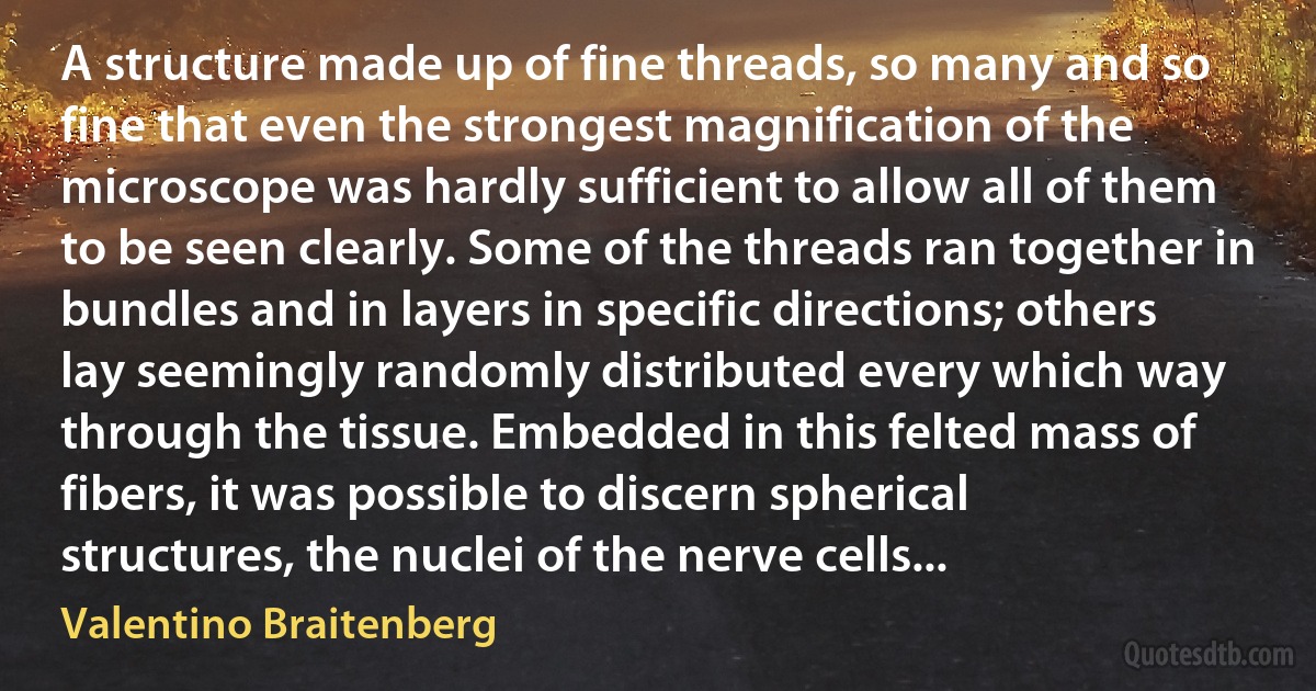 A structure made up of fine threads, so many and so fine that even the strongest magnification of the microscope was hardly sufficient to allow all of them to be seen clearly. Some of the threads ran together in bundles and in layers in specific directions; others lay seemingly randomly distributed every which way through the tissue. Embedded in this felted mass of fibers, it was possible to discern spherical structures, the nuclei of the nerve cells... (Valentino Braitenberg)