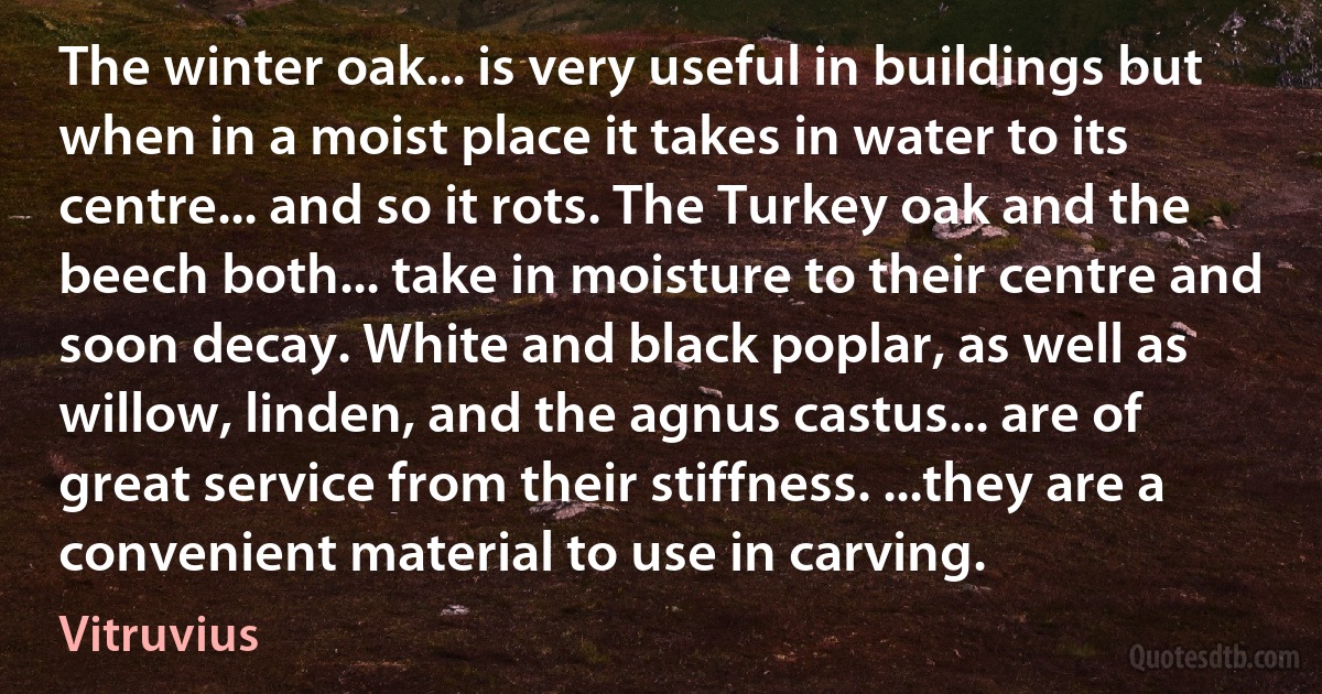 The winter oak... is very useful in buildings but when in a moist place it takes in water to its centre... and so it rots. The Turkey oak and the beech both... take in moisture to their centre and soon decay. White and black poplar, as well as willow, linden, and the agnus castus... are of great service from their stiffness. ...they are a convenient material to use in carving. (Vitruvius)