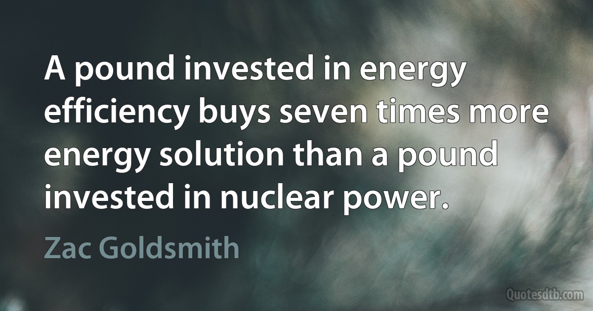 A pound invested in energy efficiency buys seven times more energy solution than a pound invested in nuclear power. (Zac Goldsmith)