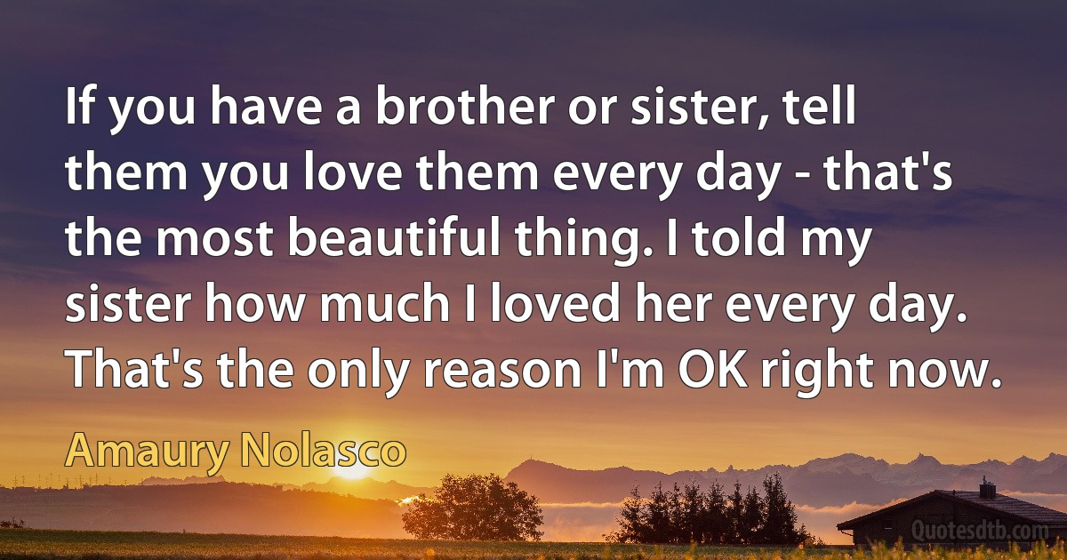 If you have a brother or sister, tell them you love them every day - that's the most beautiful thing. I told my sister how much I loved her every day. That's the only reason I'm OK right now. (Amaury Nolasco)