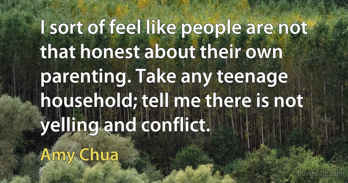 I sort of feel like people are not that honest about their own parenting. Take any teenage household; tell me there is not yelling and conflict. (Amy Chua)