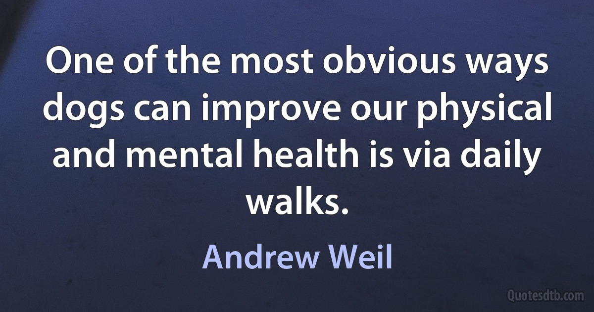 One of the most obvious ways dogs can improve our physical and mental health is via daily walks. (Andrew Weil)