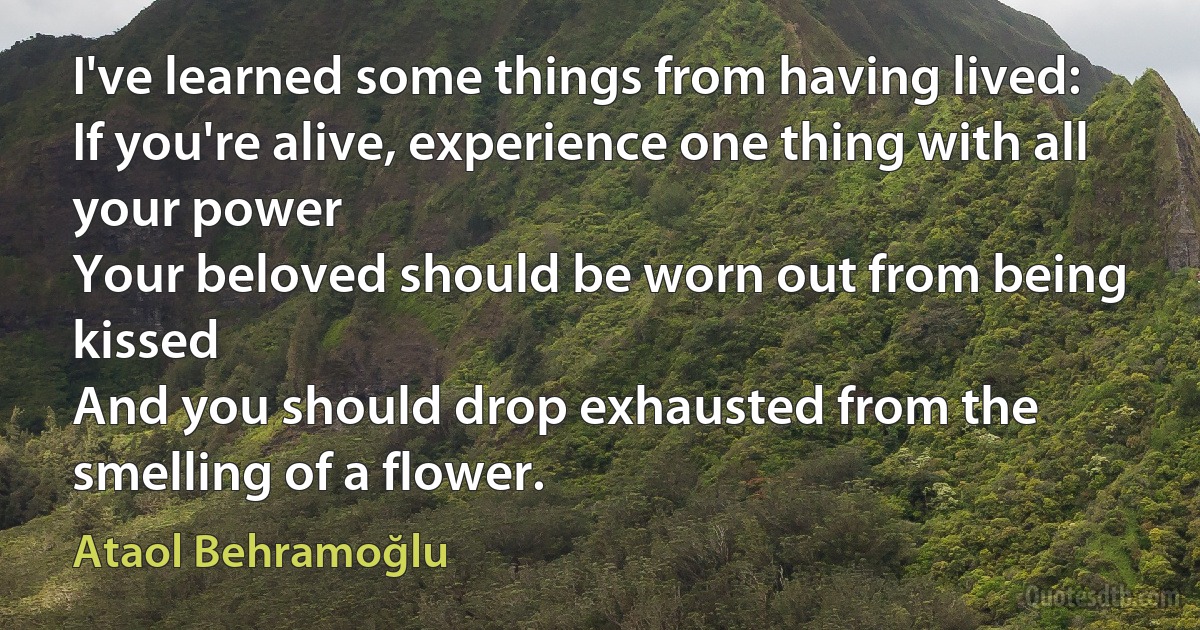 I've learned some things from having lived:
If you're alive, experience one thing with all your power
Your beloved should be worn out from being kissed
And you should drop exhausted from the smelling of a flower. (Ataol Behramoğlu)