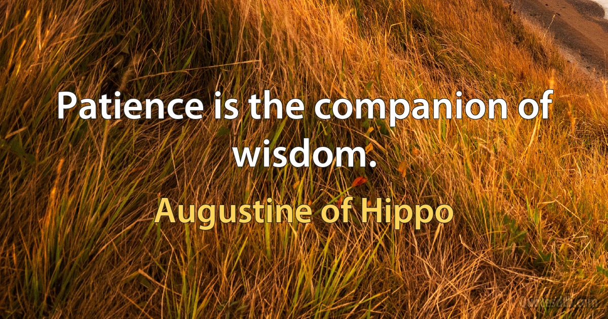 Patience is the companion of wisdom. (Augustine of Hippo)