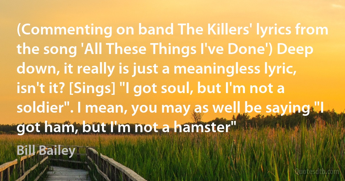 (Commenting on band The Killers' lyrics from the song 'All These Things I've Done') Deep down, it really is just a meaningless lyric, isn't it? [Sings] "I got soul, but I'm not a soldier". I mean, you may as well be saying "I got ham, but I'm not a hamster" (Bill Bailey)