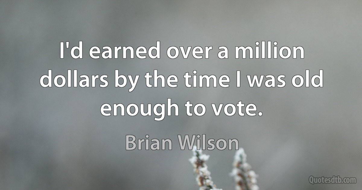 I'd earned over a million dollars by the time I was old enough to vote. (Brian Wilson)