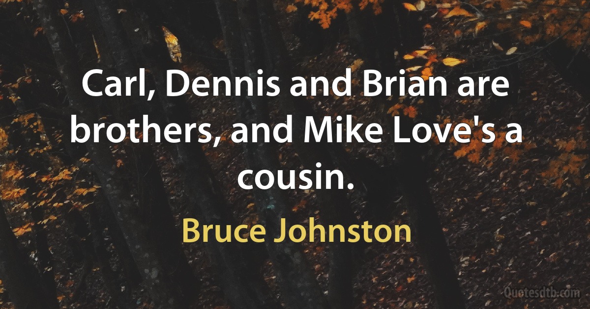 Carl, Dennis and Brian are brothers, and Mike Love's a cousin. (Bruce Johnston)