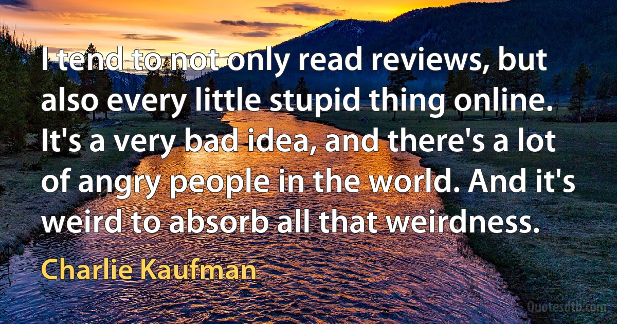 I tend to not only read reviews, but also every little stupid thing online. It's a very bad idea, and there's a lot of angry people in the world. And it's weird to absorb all that weirdness. (Charlie Kaufman)