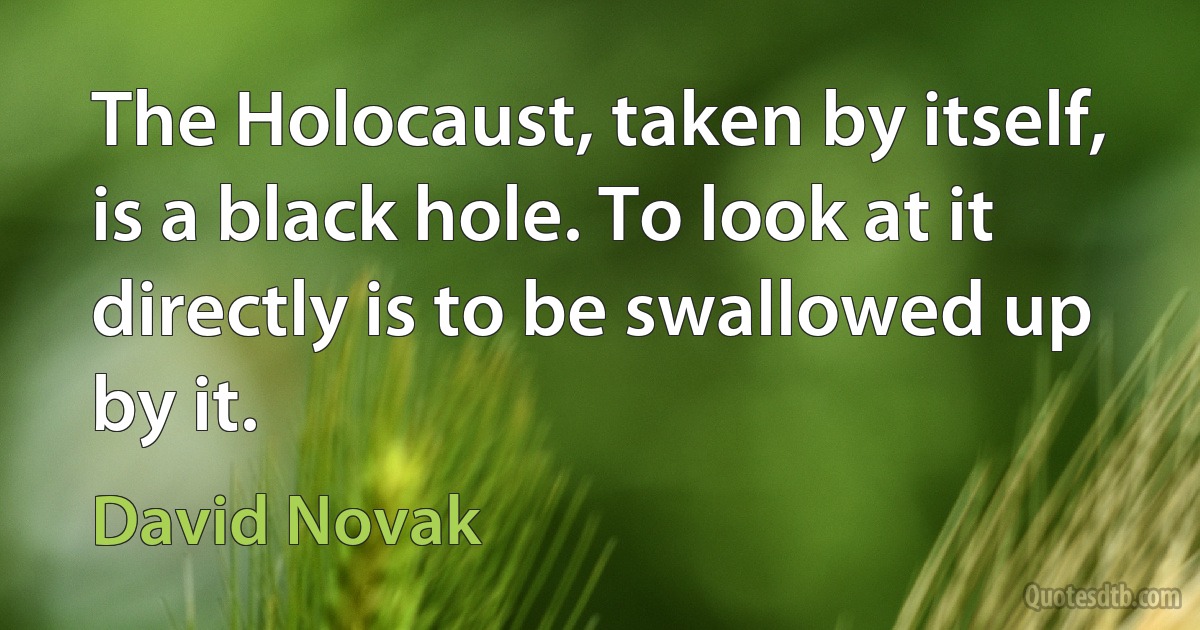 The Holocaust, taken by itself, is a black hole. To look at it directly is to be swallowed up by it. (David Novak)