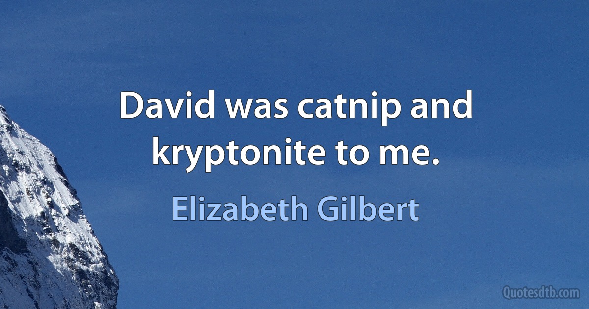 David was catnip and kryptonite to me. (Elizabeth Gilbert)