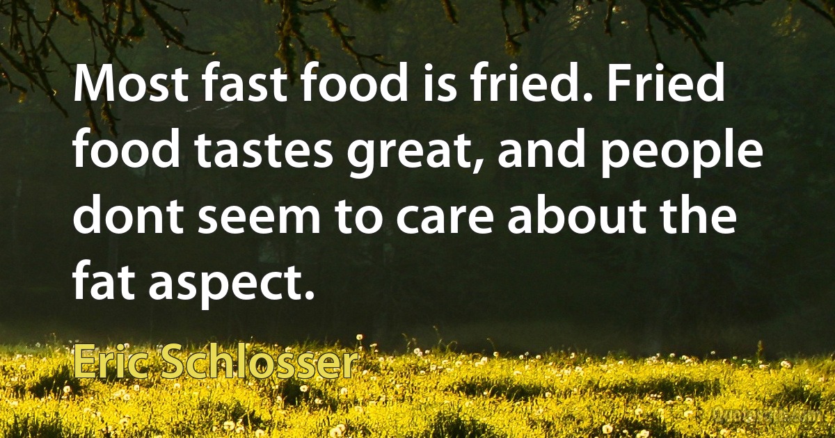 Most fast food is fried. Fried food tastes great, and people dont seem to care about the fat aspect. (Eric Schlosser)