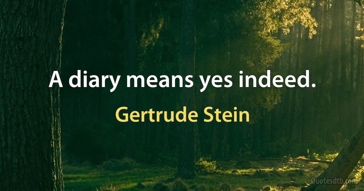 A diary means yes indeed. (Gertrude Stein)