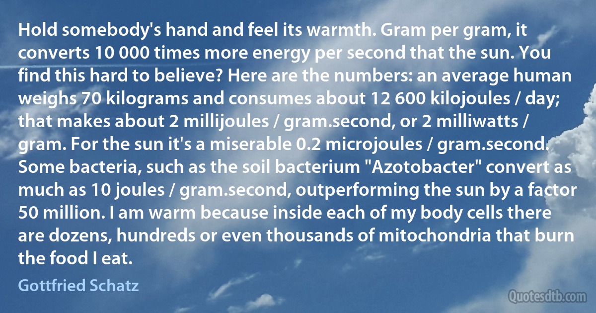 Hold somebody's hand and feel its warmth. Gram per gram, it converts 10 000 times more energy per second that the sun. You find this hard to believe? Here are the numbers: an average human weighs 70 kilograms and consumes about 12 600 kilojoules / day; that makes about 2 millijoules / gram.second, or 2 milliwatts / gram. For the sun it's a miserable 0.2 microjoules / gram.second. Some bacteria, such as the soil bacterium "Azotobacter" convert as much as 10 joules / gram.second, outperforming the sun by a factor 50 million. I am warm because inside each of my body cells there are dozens, hundreds or even thousands of mitochondria that burn the food I eat. (Gottfried Schatz)