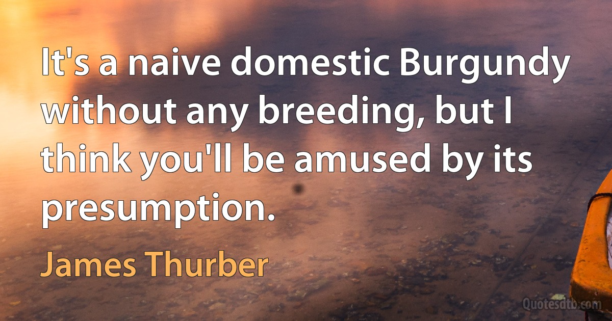 It's a naive domestic Burgundy without any breeding, but I think you'll be amused by its presumption. (James Thurber)